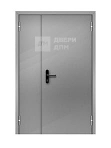 Глухая полуторная ДПМ-02 EI-15 противопожарная дверь 1400×2100 мм